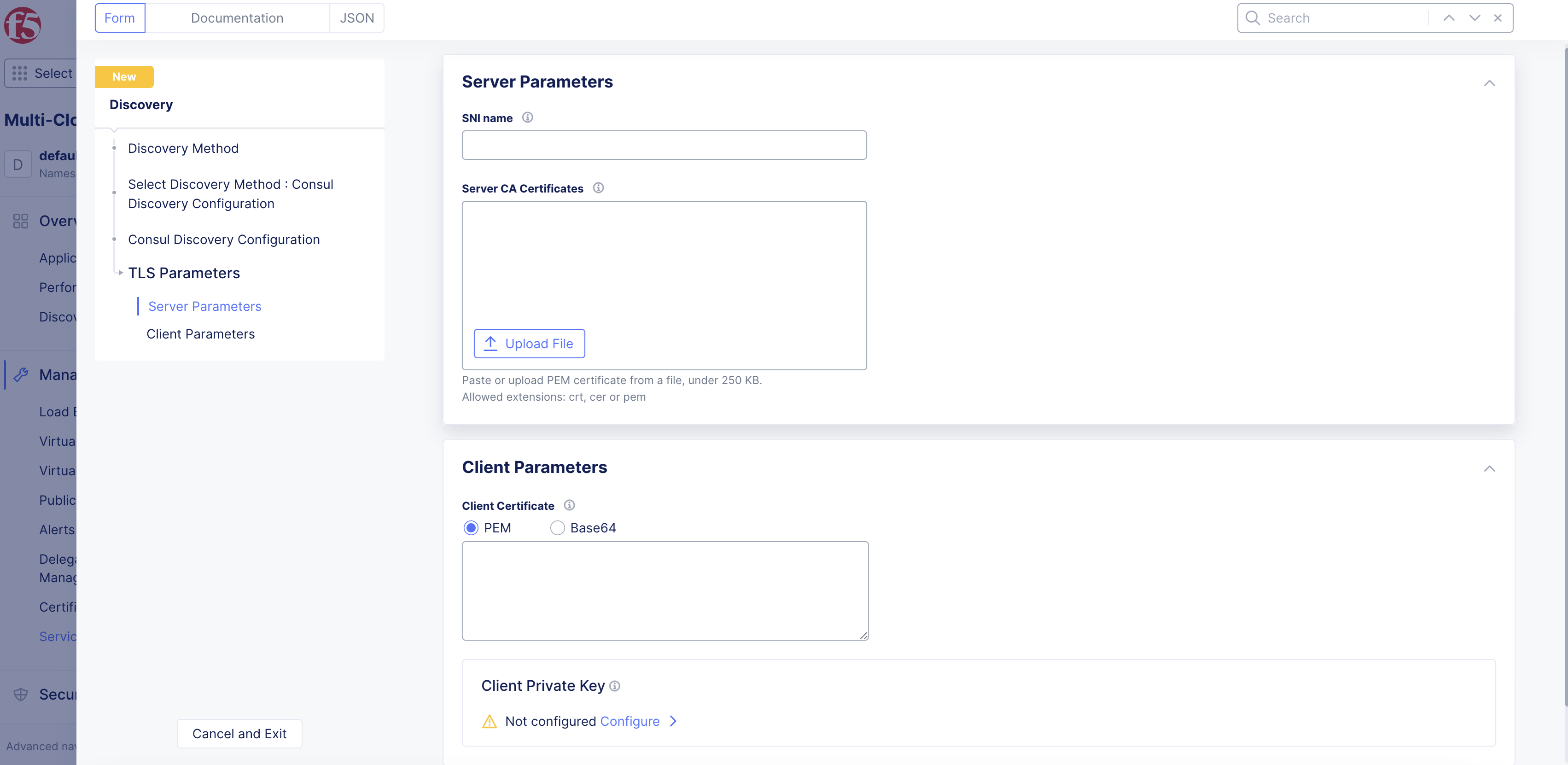 Figure: Consul Server Parameters